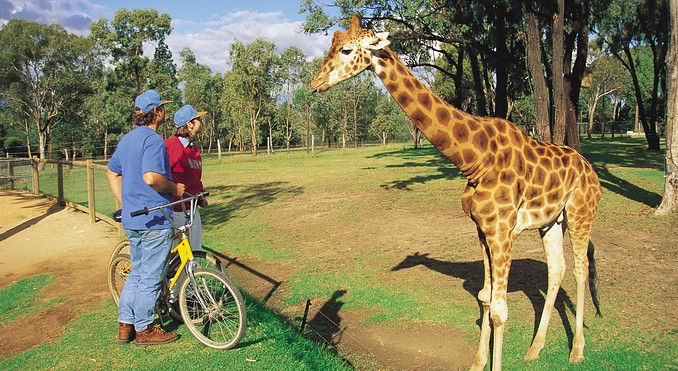 Image courtesy of Tourism New South Wales