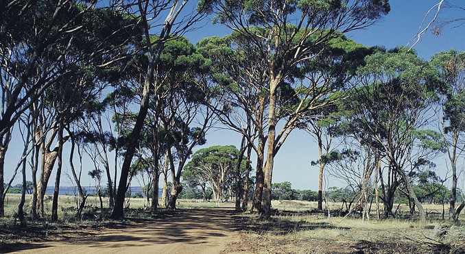 Image courtesy of Western Australia