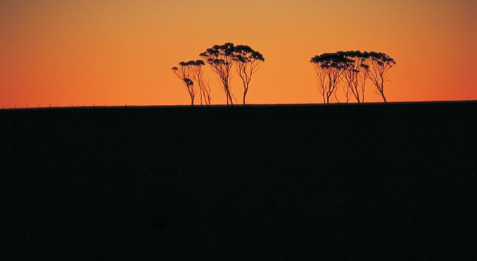 Image courtesy of Western Australia