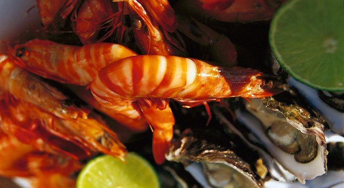 Image courtesy of Tourism Queensland