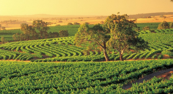 Image courtesy of South Australia