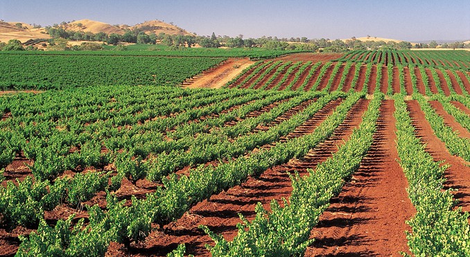 Image courtesy of South Australia