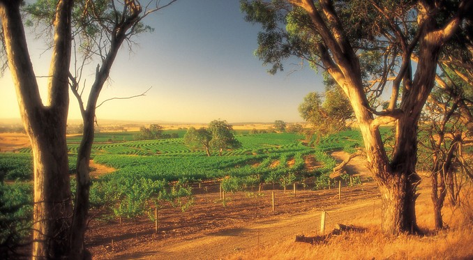 Image courtesy of South Australia