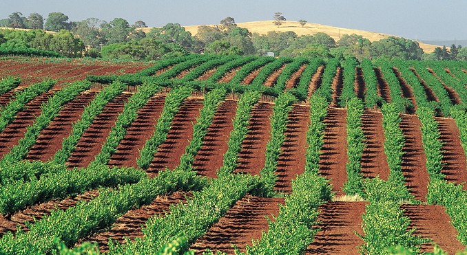Image courtesy of South Australia