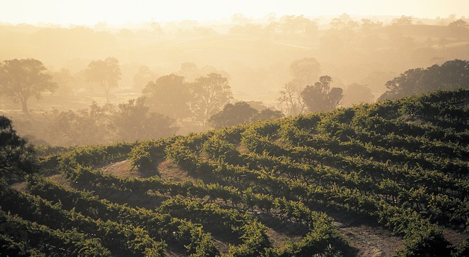 Image courtesy of South Australia