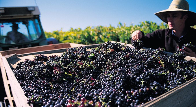 Image courtesy of South Australia