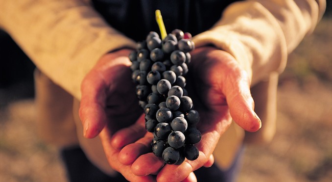 Image courtesy of South Australia