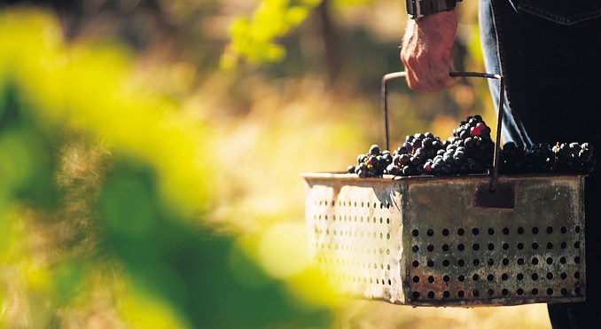 Image courtesy of South Australia