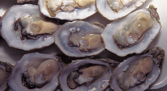 Image courtesy of South Australia