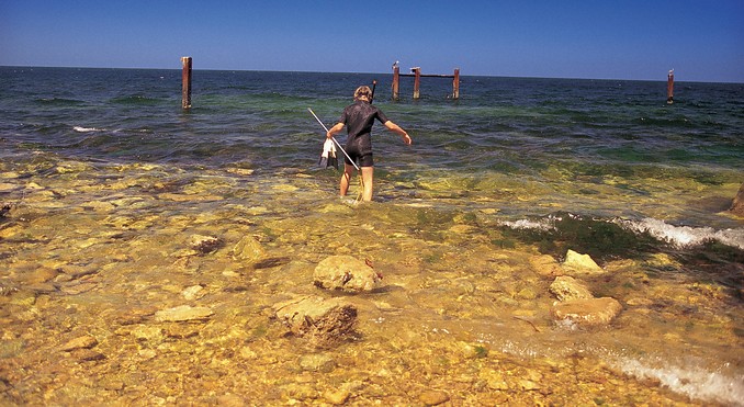Image courtesy of South Australia
