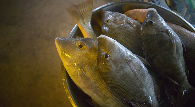 Image courtesy of Tourism NT