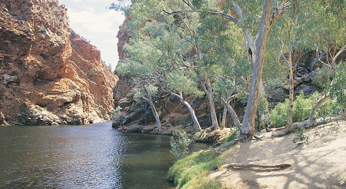 Image courtesy of Tourism NT
