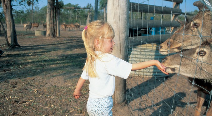 Image courtesy of Tourism Queensland