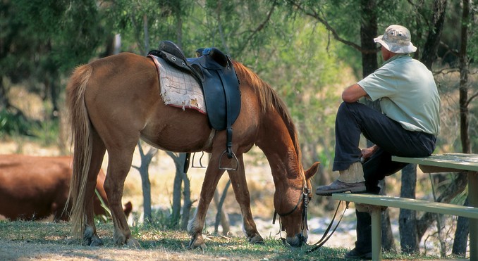 Image courtesy of Tourism Queensland