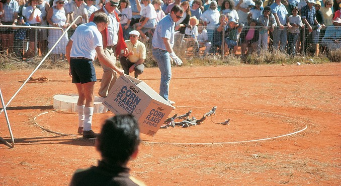 Image courtesy of Tourism Queensland