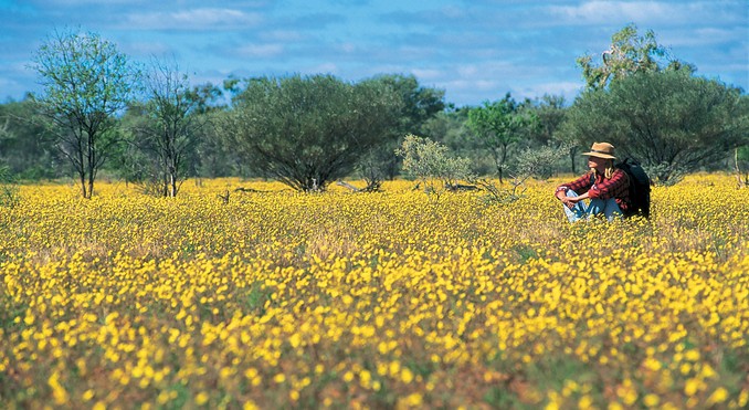 Image courtesy of Tourism Queensland