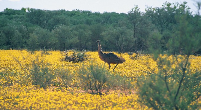 Image courtesy of Tourism Queensland