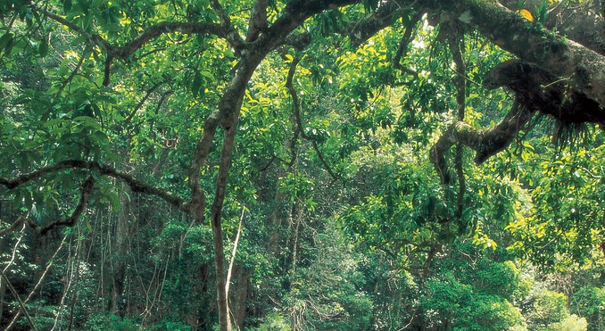 Image courtesy of Tourism Queensland