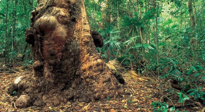 Image courtesy of Tourism Queensland