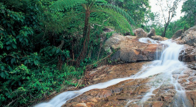 Image courtesy of Tourism Queensland