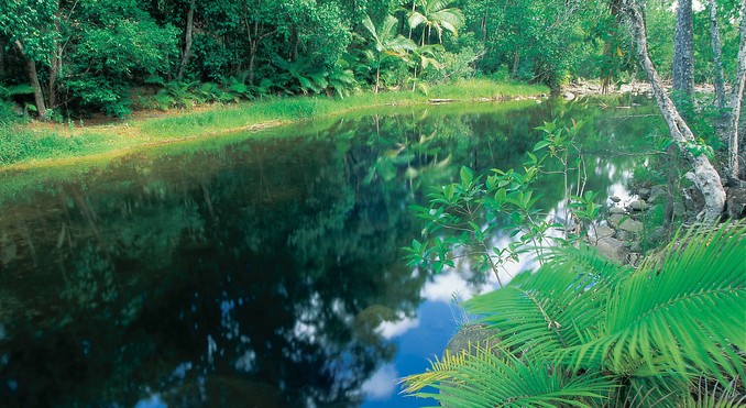 Image courtesy of Tourism Queensland