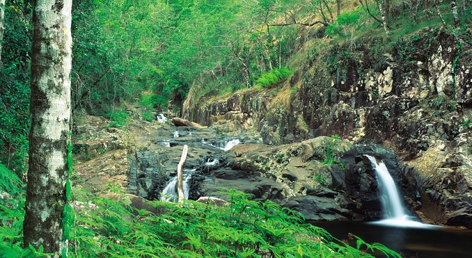 Image courtesy of Tourism Queensland