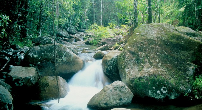Image courtesy of Tourism Queensland