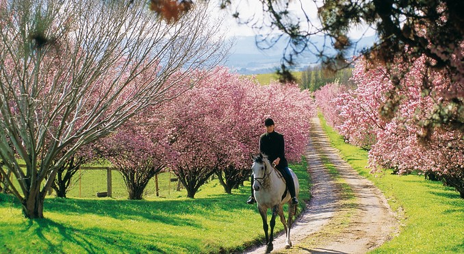Tourism Tasmania and Ray Joyce