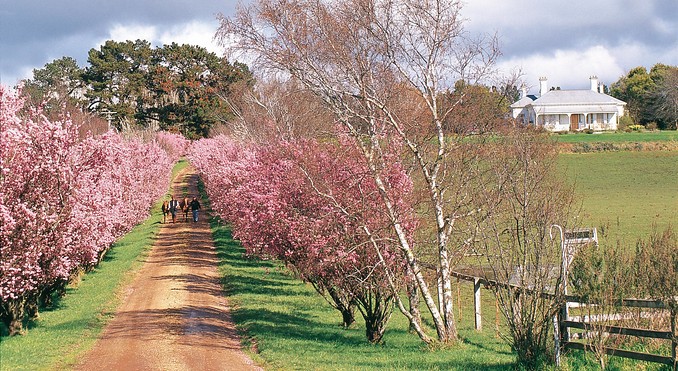 Tourism Tasmania and Ray Joyce