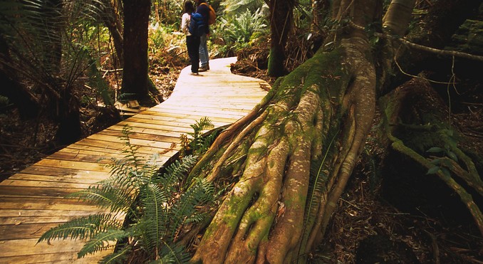 Tourism Tasmania and Geoffrey Lea
