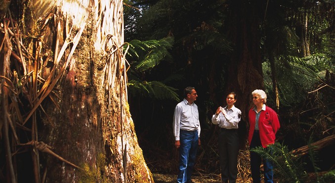 Tourism Tasmania and Geoffrey Lea