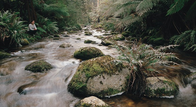 Tourism Tasmania and Geoffrey Lea