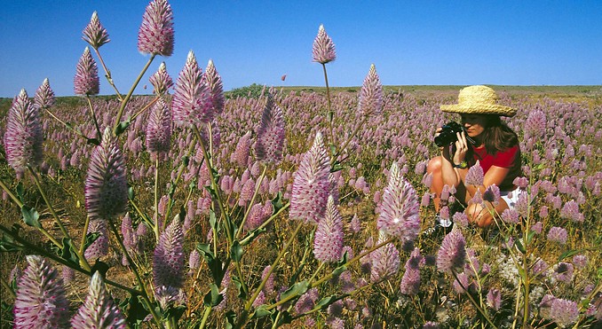 Image courtesy of Western Australia