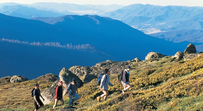 Image courtesy of Tourism Victoria