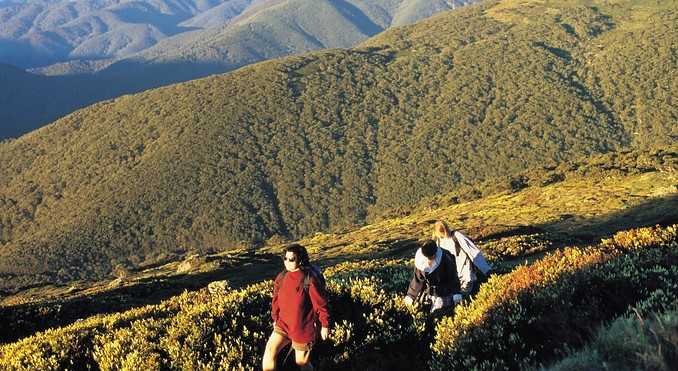 Image courtesy of Tourism Victoria