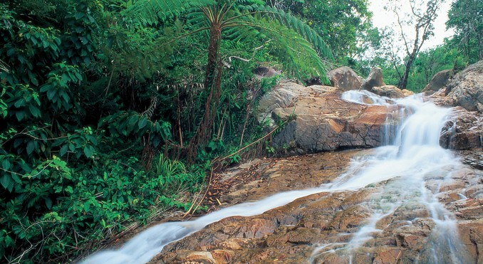 Image courtesy of Tourism Queensland