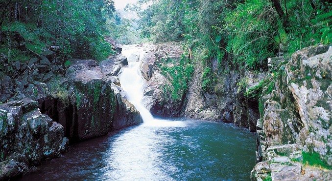 Image courtesy of Tourism Queensland