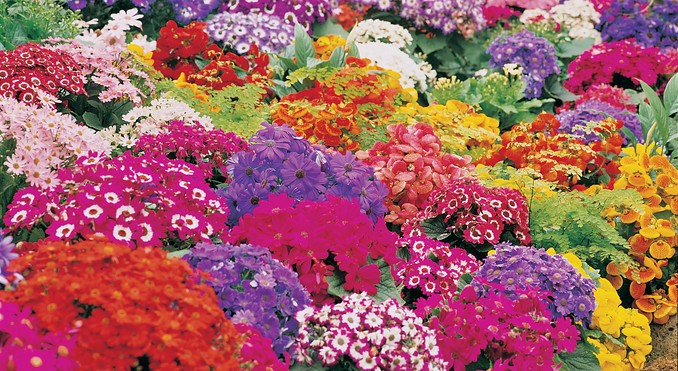 Image courtesy of Tourism Victoria