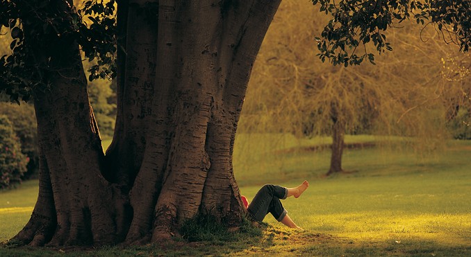 Image courtesy of Tourism Victoria