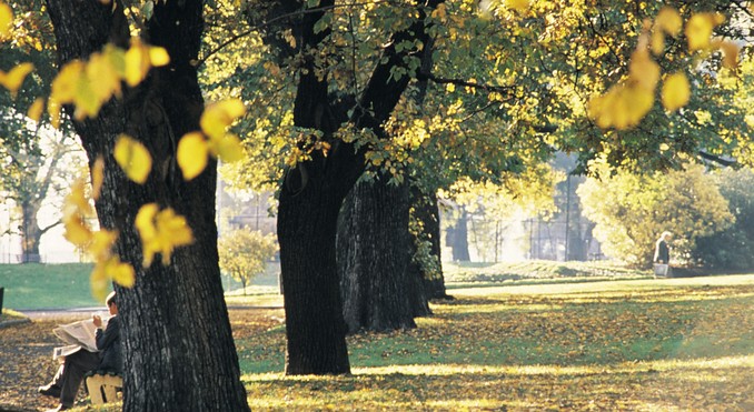 Image courtesy of Tourism Victoria