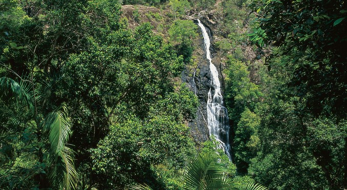 Image courtesy of Tourism Queensland