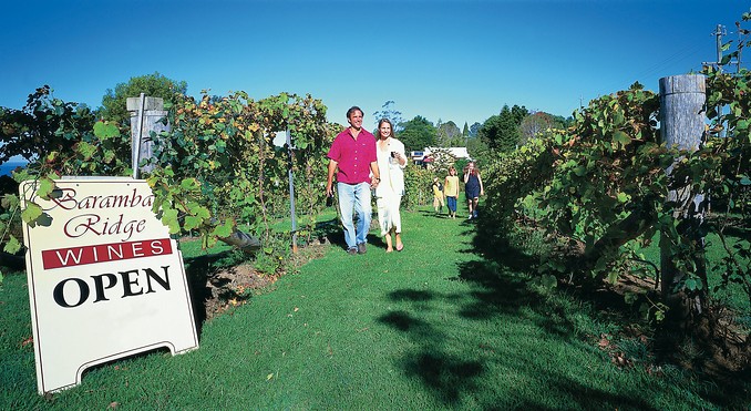 Image courtesy of Tourism Queensland