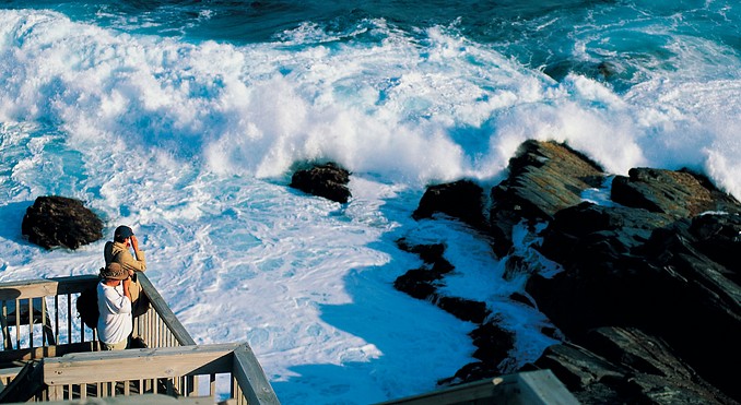 Image courtesy of South Australia