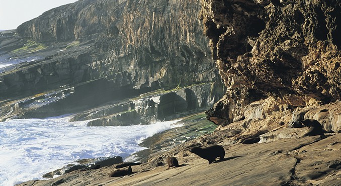 Image courtesy of South Australia