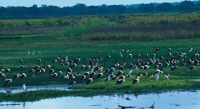 Image courtesy of Tourism NT