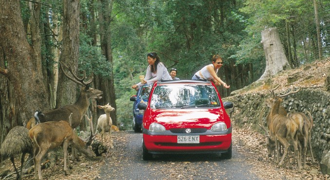 Image courtesy of Tourism Queensland
