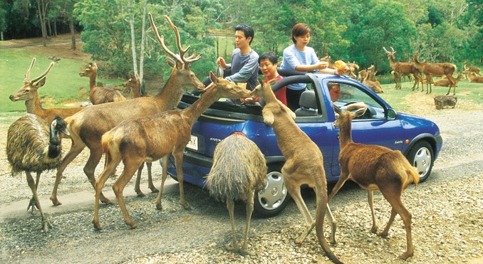 Image courtesy of Tourism Queensland