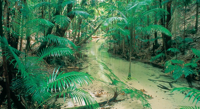 Image courtesy of Tourism Queensland