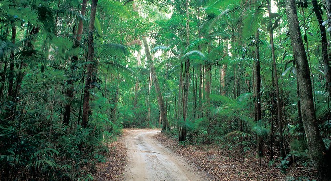 Image courtesy of Tourism Queensland