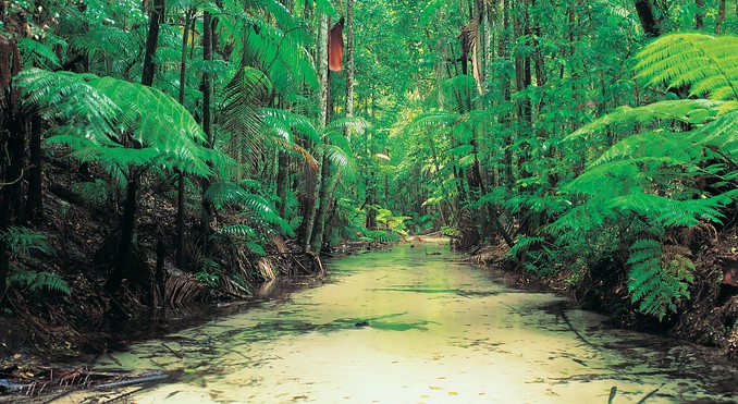 Image courtesy of Tourism Queensland